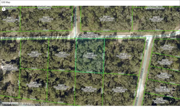 0 Haas Drive, Webster, FL, 33597