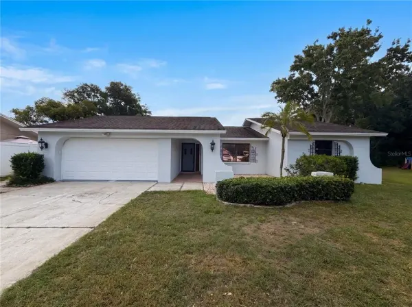 3413 Snowy Egret Court, Palm Harbor, FL, 34683