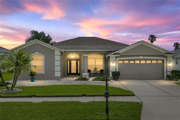 1542 Swamp Rose Lane, Trinity, FL, 34655