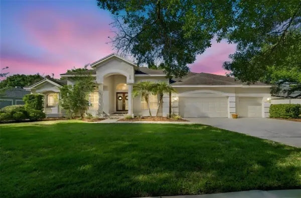 19108 Centre Rose Boulevard, Lutz, FL, 33558
