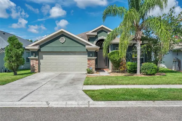 4641 Rolling Green Drive, Wesley Chapel, FL, 33543