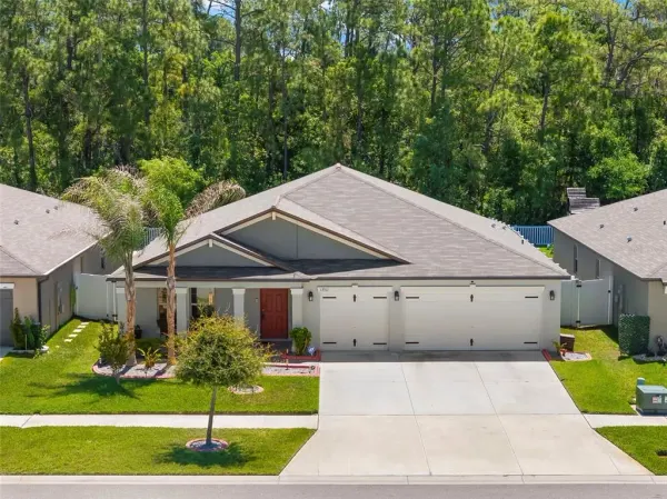 13511 Willow Bluestar Loop, Riverview, FL, 33579