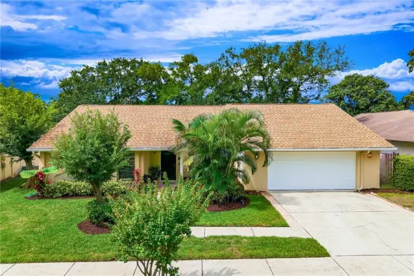 341 Arbor Drive W, Palm Harbor, FL, 34683