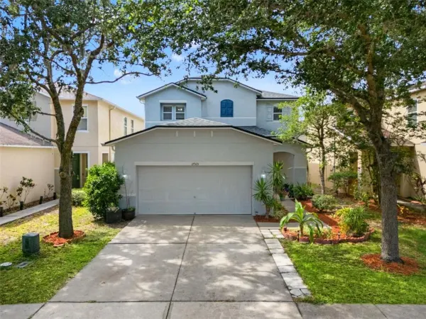 17535 Balmaha Drive, Land O Lakes, FL, 34638