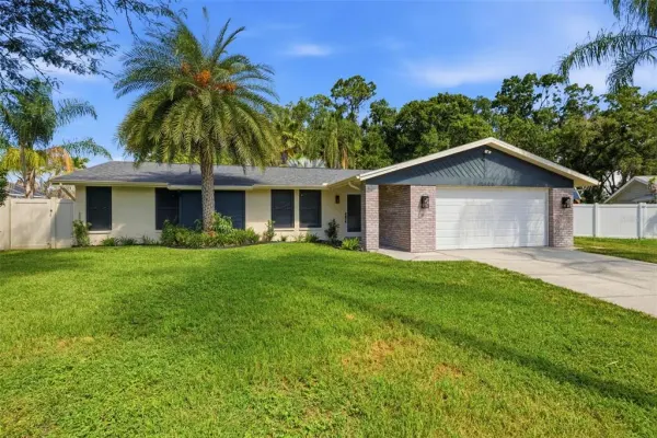 12606 Wood Ibis Way, Tampa, FL, 33624