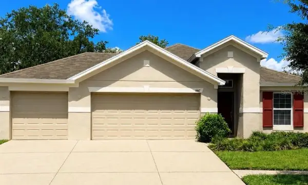 6447 Sparkling Way, Wesley Chapel, FL, 33545